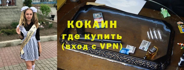 mix Богородицк