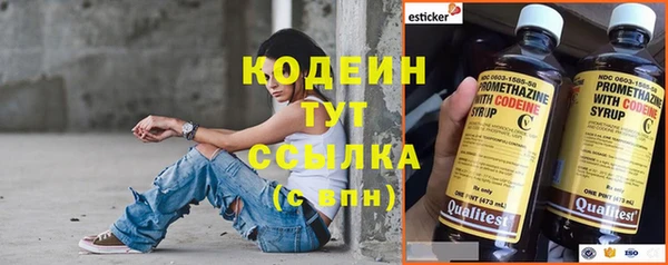 mix Богородицк