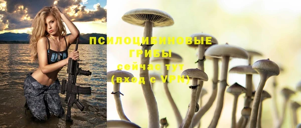 a pvp Богородск