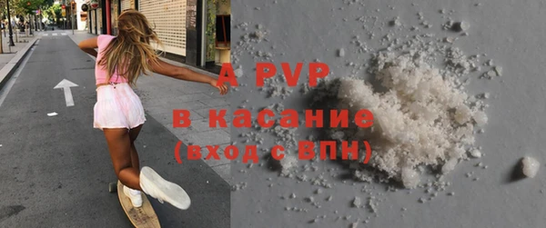стаф Беломорск