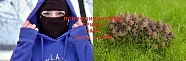 a pvp Богородск