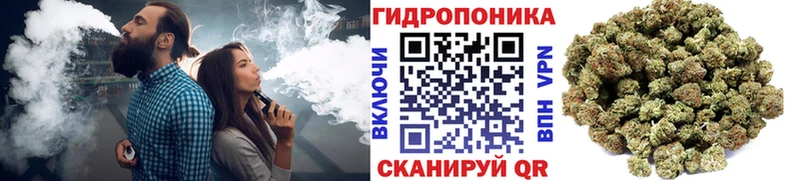 Каннабис OG Kush  Кудрово 